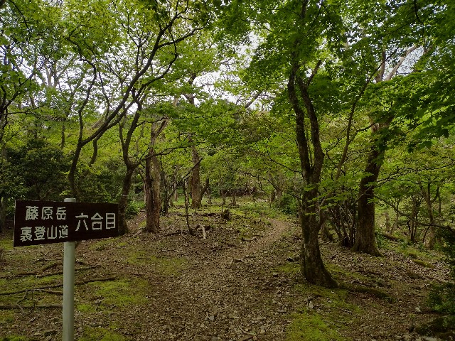 f:id:developingexplorer:20240509060343j:image