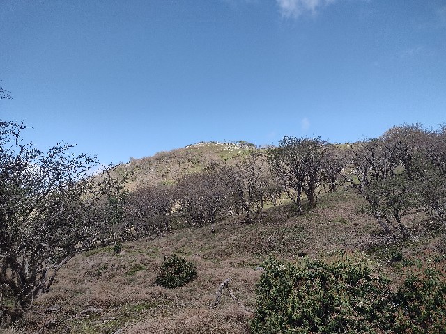 f:id:developingexplorer:20240509060902j:image