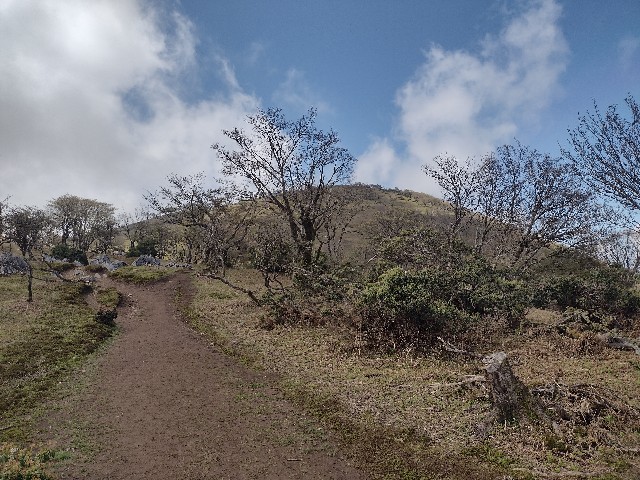 f:id:developingexplorer:20240509060915j:image