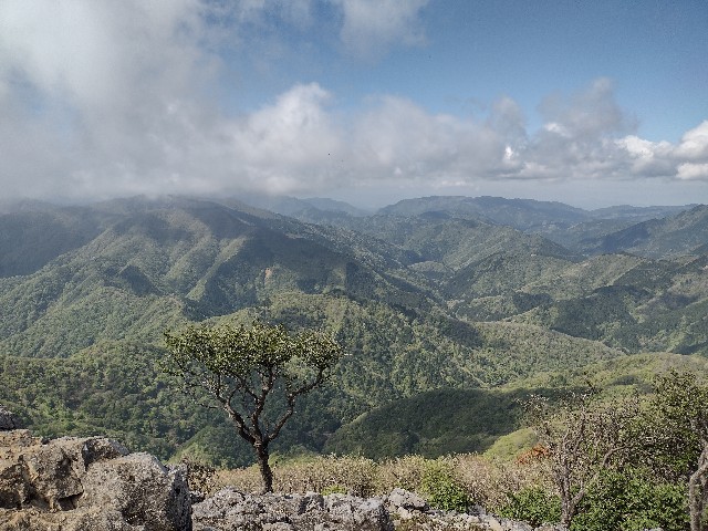f:id:developingexplorer:20240509061037j:image