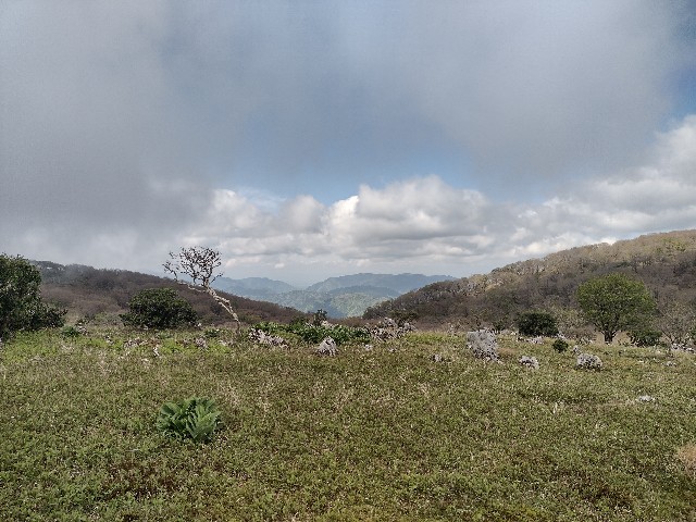 f:id:developingexplorer:20240509061223j:image