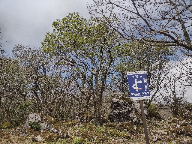 f:id:developingexplorer:20240509061302j:image