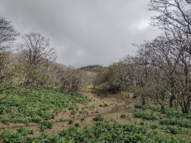 f:id:developingexplorer:20240509061323j:image