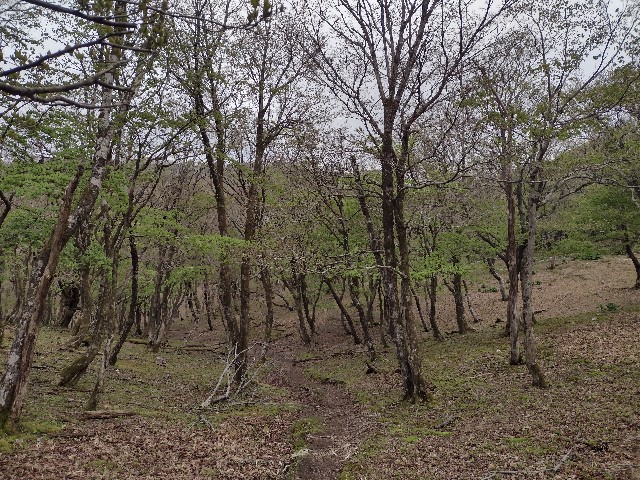 f:id:developingexplorer:20240509061626j:image