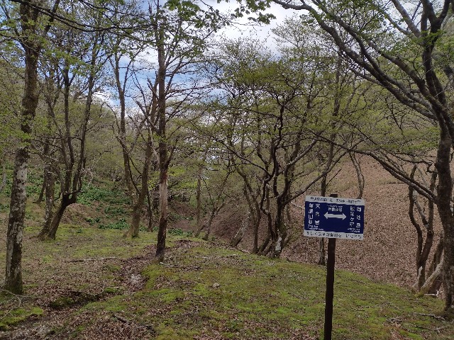 f:id:developingexplorer:20240509061637j:image