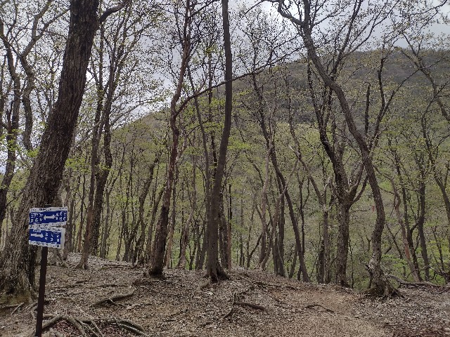 f:id:developingexplorer:20240511184120j:image