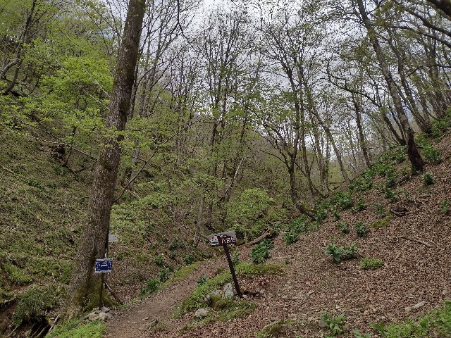 f:id:developingexplorer:20240511184134j:image
