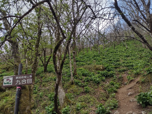 f:id:developingexplorer:20240511184247j:image