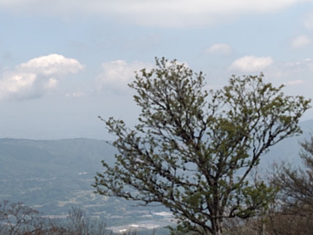 f:id:developingexplorer:20240511184328j:image