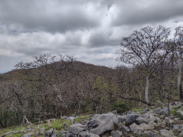 f:id:developingexplorer:20240511184338j:image