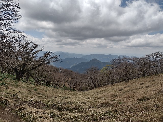 f:id:developingexplorer:20240511184511j:image