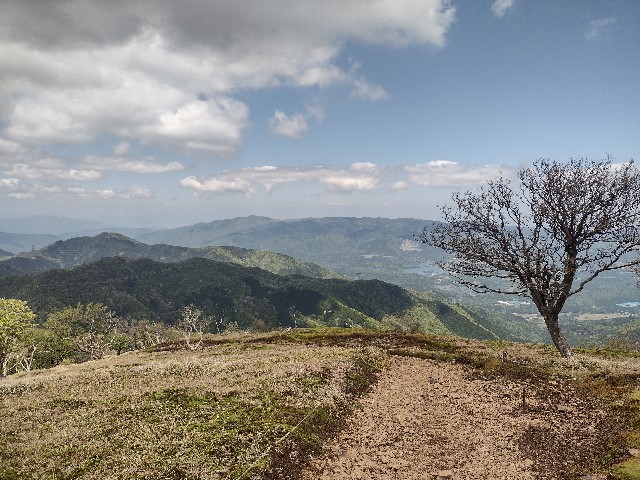 f:id:developingexplorer:20240511185155j:image