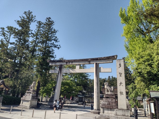 f:id:developingexplorer:20240511185841j:image