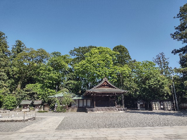 f:id:developingexplorer:20240511185925j:image