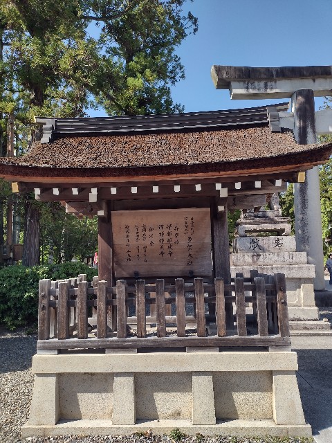 f:id:developingexplorer:20240511185938j:image