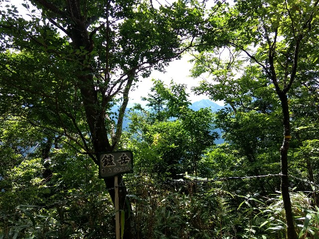 f:id:developingexplorer:20240518202001j:image