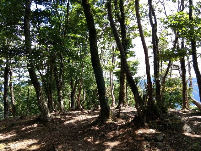 f:id:developingexplorer:20240518202405j:image