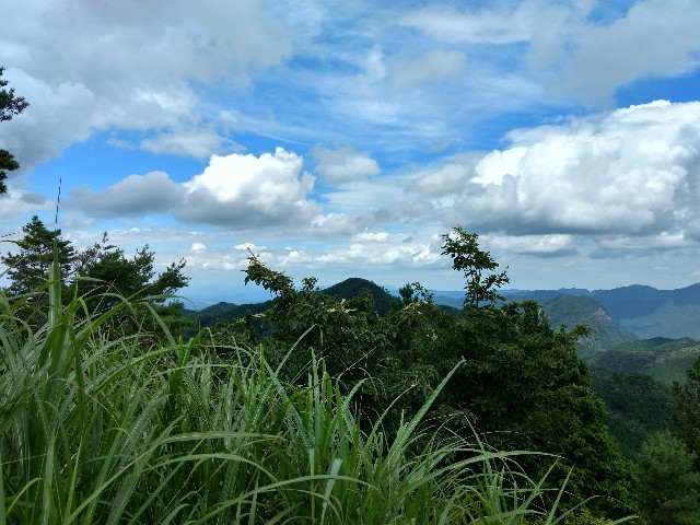 f:id:developingexplorer:20240518203803j:image