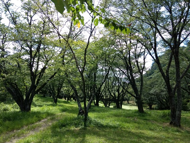 f:id:developingexplorer:20240518204037j:image
