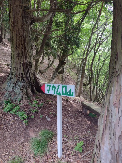 f:id:developingexplorer:20240601202246j:image