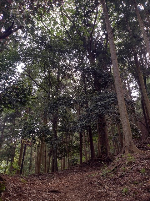 f:id:developingexplorer:20240601202321j:image