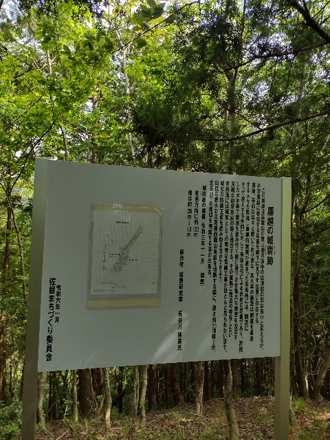 f:id:developingexplorer:20240601202337j:image