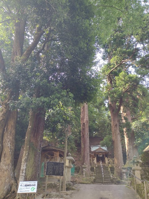 f:id:developingexplorer:20240601202523j:image