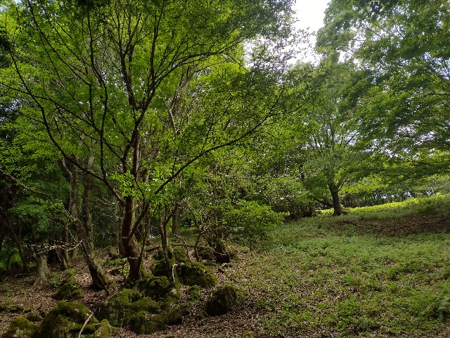 f:id:developingexplorer:20240601202614j:image