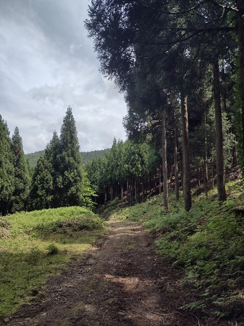 f:id:developingexplorer:20240601202816j:image