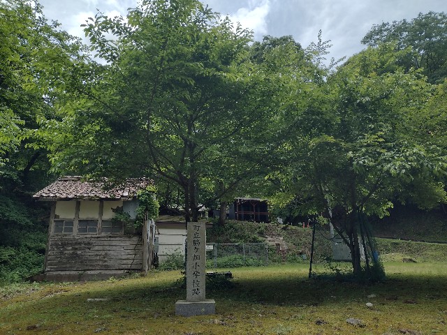 f:id:developingexplorer:20240601203219j:image