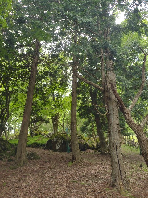 f:id:developingexplorer:20240601203741j:image
