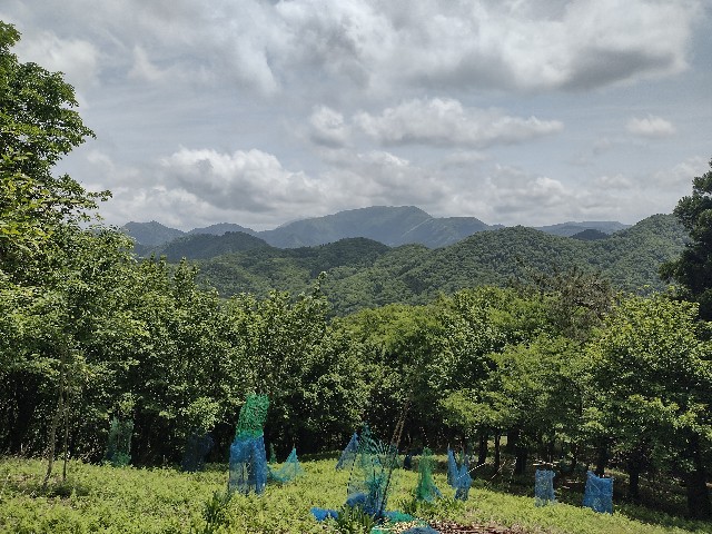 f:id:developingexplorer:20240601203828j:image