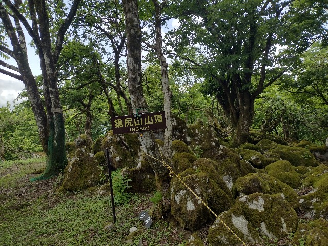f:id:developingexplorer:20240601204052j:image