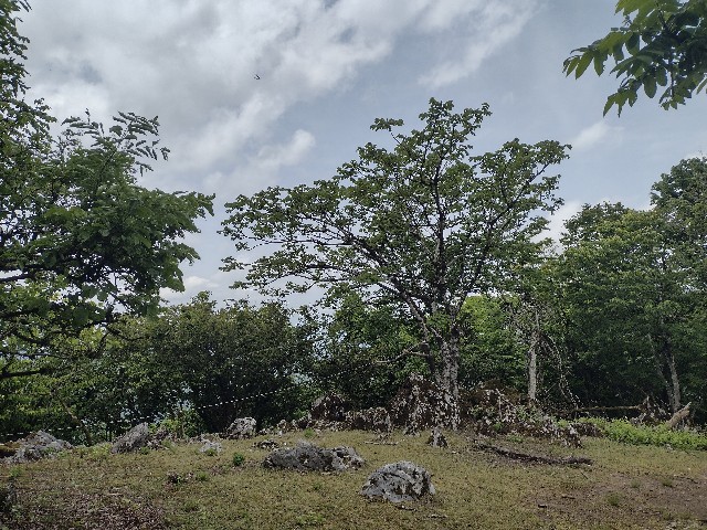 f:id:developingexplorer:20240601204102j:image