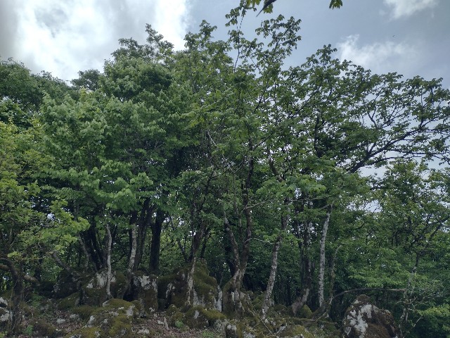 f:id:developingexplorer:20240601204156j:image
