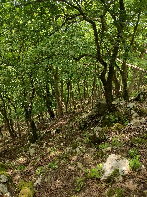 f:id:developingexplorer:20240601204529j:image
