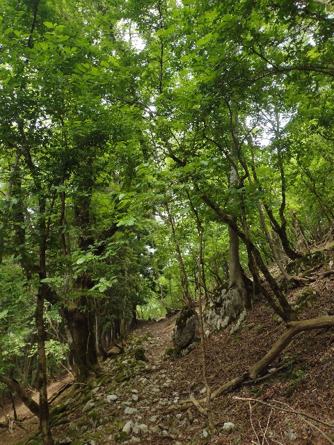 f:id:developingexplorer:20240601204545j:image