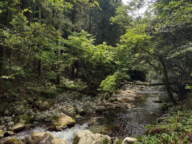 f:id:developingexplorer:20240601205032j:image