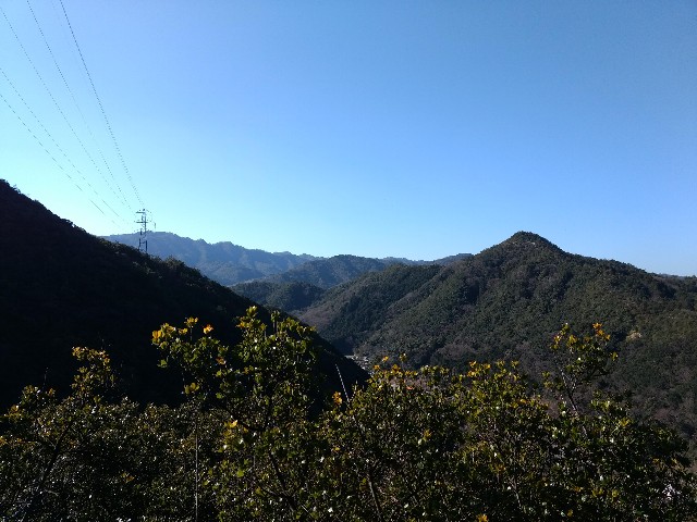 f:id:developingexplorer:20240615181805j:image f:id:developingexplorer:20240615181805j:image