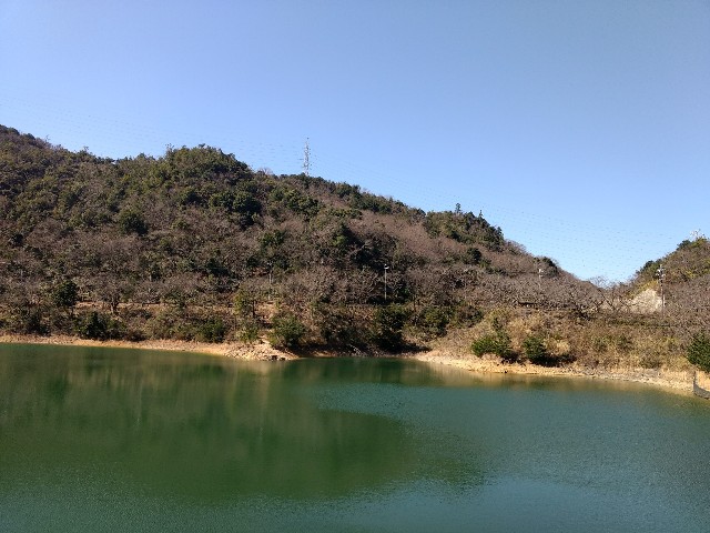 f:id:developingexplorer:20240616090509j:image f:id:developingexplorer:20240616090509j:image