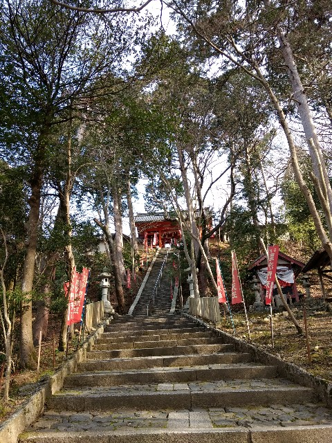 f:id:developingexplorer:20240623071849j:image