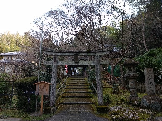 f:id:developingexplorer:20240623071935j:image