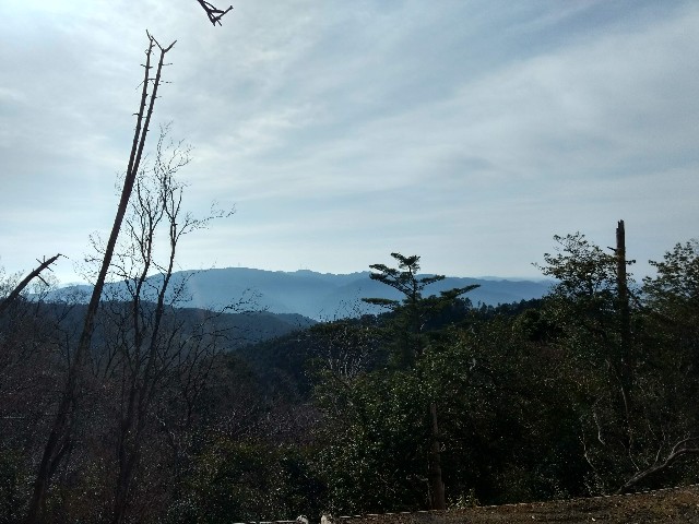 f:id:developingexplorer:20240623072308j:image