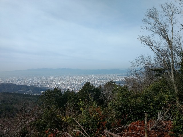 f:id:developingexplorer:20240623072536j:image