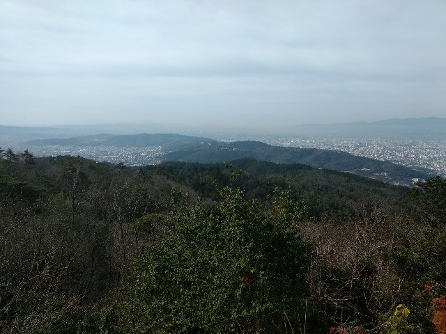 f:id:developingexplorer:20240623072712j:image