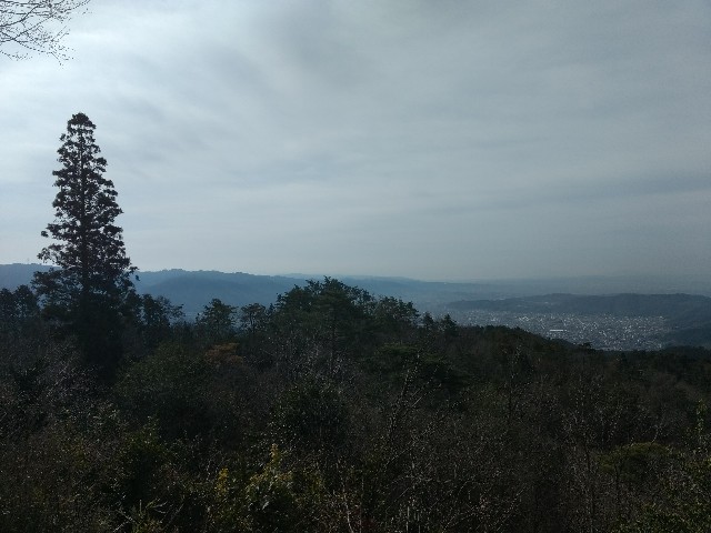 f:id:developingexplorer:20240623072739j:image