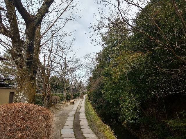 f:id:developingexplorer:20240623073457j:image