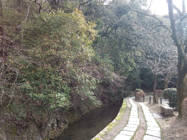 f:id:developingexplorer:20240623073515j:image