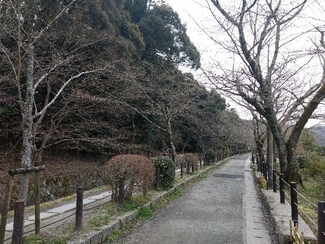 f:id:developingexplorer:20240623073540j:image