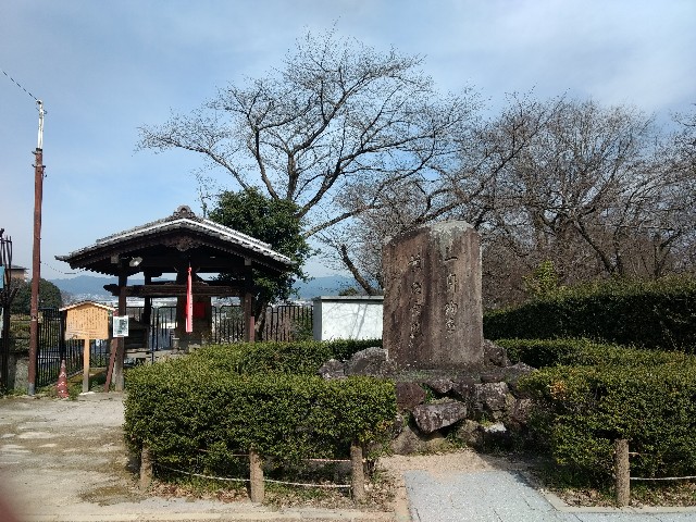 f:id:developingexplorer:20240623074017j:image